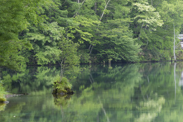 上高地大正池／長野県松本市