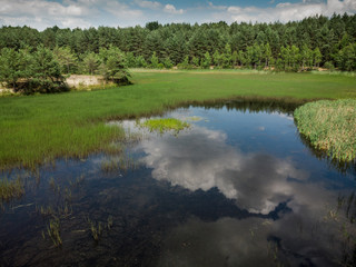 Beautiful summer landscape, lake,forest and clouds