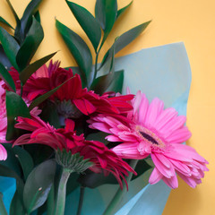 bouquet of pink and red gerberas on a yellow background