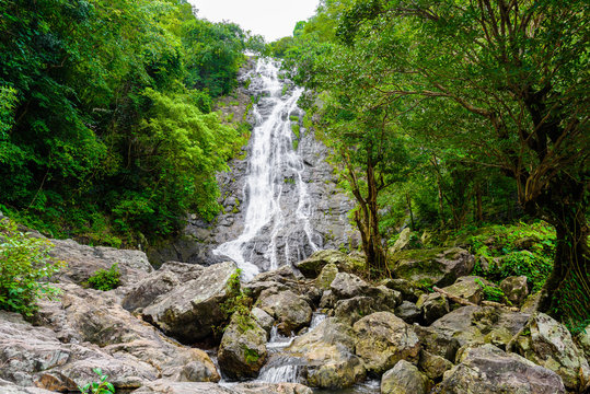 tropical nature in sarika waterfall at nakhon nayok, Thailand