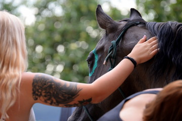 Trust. Portrait of a black horses painted and the back of a Beautiful tattoed woman