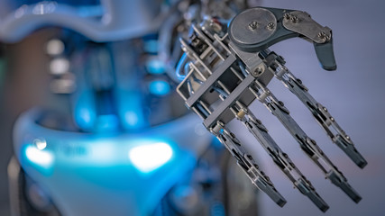Robotic Hand Mechanism