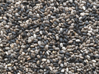 chia seed
