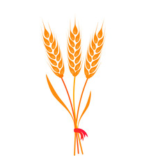 Bunch of wheat, barley or rye ears with whole grain and dry leaves, golden wheat, rye or barley crop with red ribbon harvest symbol or icon sign flat style design vector illustration isolated