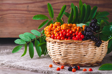 Branches of red, orange, black mountain ash in a basket on a wooden background.