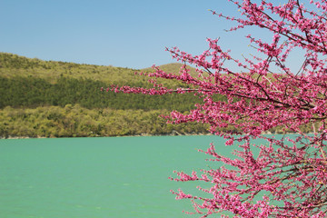 Lake Abrau on side of which the famous manufacture of champagne wines is located