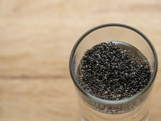 chia seed