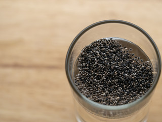 chia seed