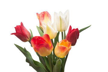 Bouquet of colorful and beautiful tulips flowers isolated on white background. Still life, wedding. Flat lay, top view
