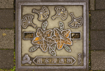 Square cast iron mouthwash cover decorated with cherry blossoms, leaves of Ginkgo symbol of Tokyo.