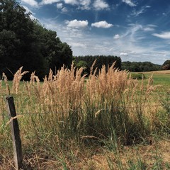 Stra&szlig;enrand im Bergischen Land
