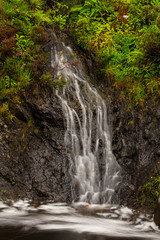 waterfall with green plants