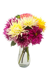 Bouquet flower of beautiful fashionable pink dahlia ia a vase isolated on white background. Botanical, concept, flora, idea. Pomponic form. Macro, nature