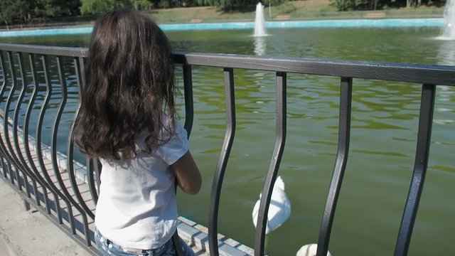 Child in the zoo. Little girl looks at the swans in the park.
