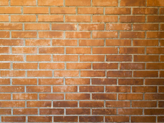 Obraz premium Brick wall texture