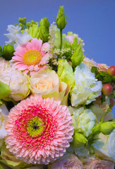 bouquet of flowers roses gerbera flowers carnations