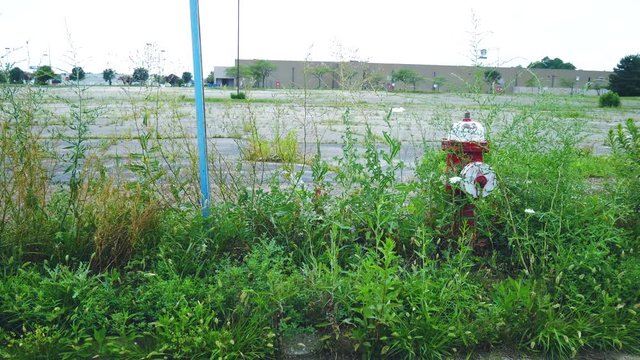 Abandoned parking lot for closed store