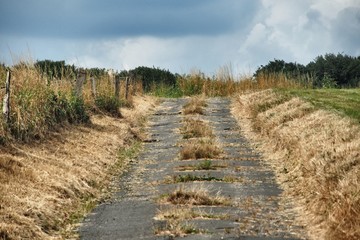 abenteuerliche Landstra&szlig;e