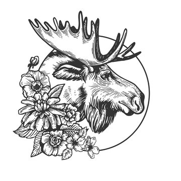 Moose head animal engraving vector