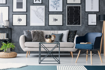 Blue armchair next to sofa and table in living room interior with posters and plant on pouf. Real photo
