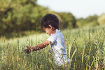 Kleiner Junge spielt in einer Wiese mit hohem Gras