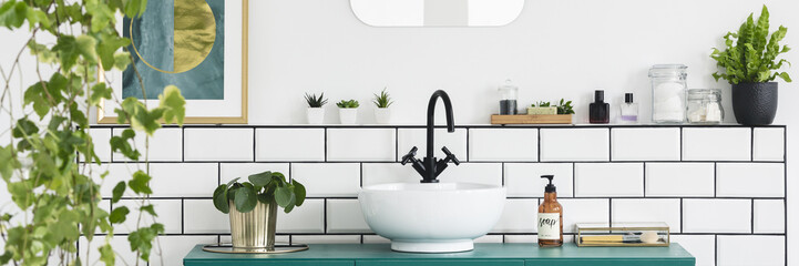 Green cabinet with fresh plant, bottle with soap and white sink with black tap in real photo of bright bathroom interior - obrazy, fototapety, plakaty