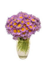 Bouquet of flowers asters alpine perennial pink in vase isolated on white background. Floral pattern, object. Flat lay, top view