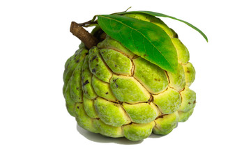 custard apple fruit (Sugar apple fruit) isolate on white background
