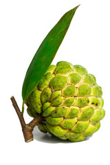 custard apple fruit (Sugar apple fruit) isolate on white background
