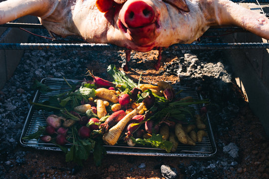Greens and root vegetables set under a hog in a trench