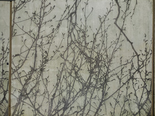 Muro di cemento armato con decorazione effetto albero