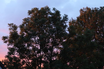 deep red sunset skies above rees