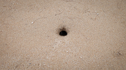 Fototapeta na wymiar The crab hole on the sand background.