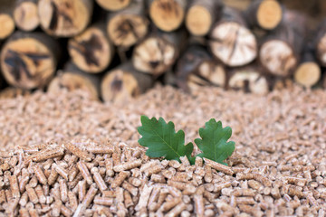 Pile of oak biomass