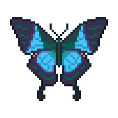 Obraz premium Pixel art vector peacock butterfly isolated on white background.