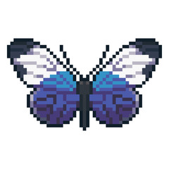 Pixel art vector sapho longwing butterfy isolated on white background.