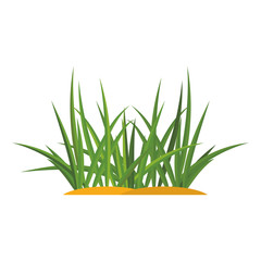 Bunches of green grass on an earthen mound. Design of summer cards. Flat cartoon illustration. Objects isolated on a white background.