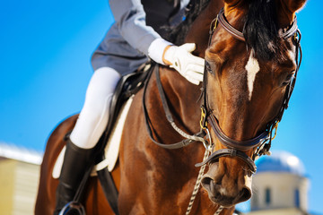 Worried equestrian. Equestrian wearing riding boots feeling a little bit worried before...
