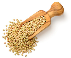 uncooked buckwheat in the wooden scoop, isolated on the white background, top view