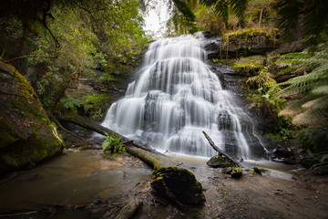 Obraz premium Henderson Falls Cape Otway