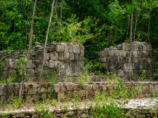 Ancient Mayan ruins overgrown with plants in the Mexican jungle
