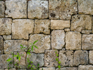 Interlocking stone wall of a Mayan temple in the Mexican jungle