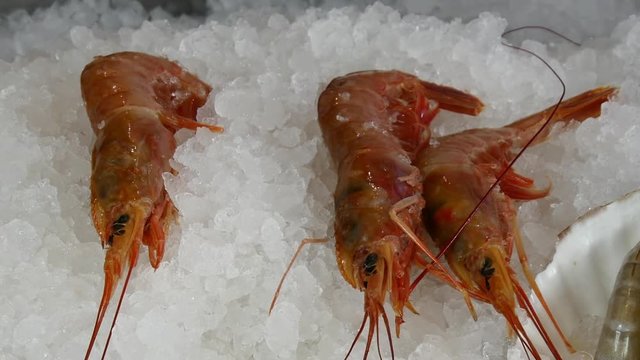 Hands of the cook superimpose fresh shrimp on ice in a seafood restaurant. Recipes for cooking.