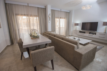 Interior design of luxury apartment living room