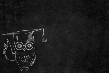 Back to school background. Knowledge owl drawn on school blackboard background with copy space.