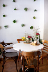 Modern and simple cafe interior with wooden classical furniture and flowers on white table.White decorative wall with greenery.