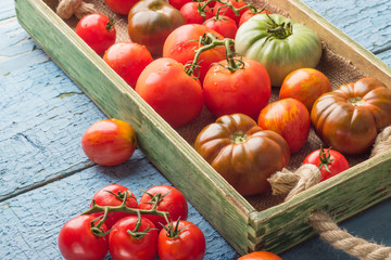 Set of different sorts of ripe tomatoes in the wooden tray