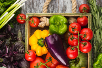 Set of different fresh raw colorful vegetables in the wooden tray