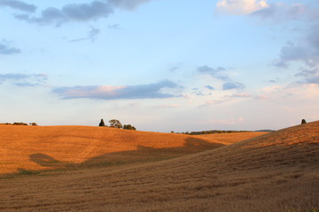 Fototapeta na wymiar Tuscany landscape in the sunset.