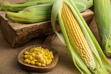 Fresh corn on the cob with leaves and grains in wooden ladle on sackcloth © dinosmichail